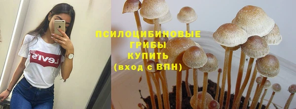COCAINE Богородск