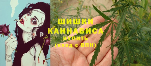крисы Бронницы