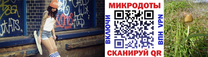 Галлюциногенные грибы мицелий  мега ТОР  Данков 